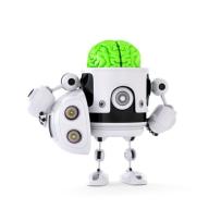 Brain Bot2